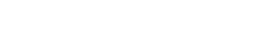 nico Inc.